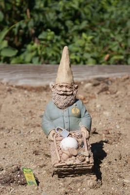 garden gnome protector