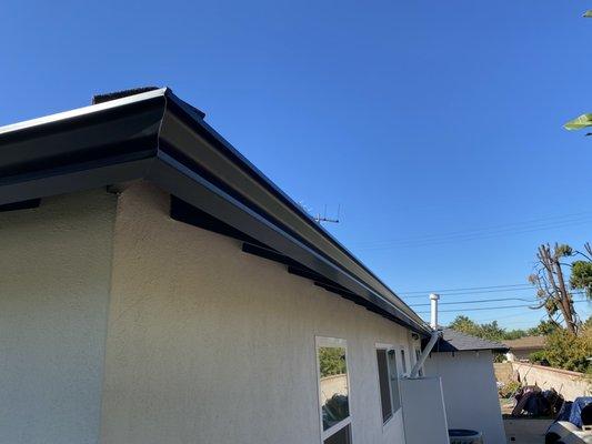 Seamless black gutters