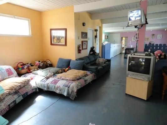 Main Room w/TV & Surveillance Camera along with lots of comfy places to sit/lay for those that are allowed on furniture.