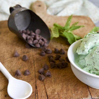 Mint Chocolate Chip