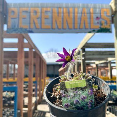 Fossil Creek Nursery