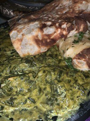 Palak Paneer & Garlic Naan... tons of yumm!