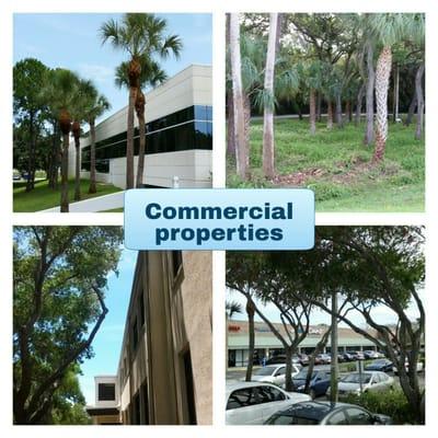 Commercial tree care