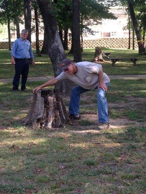 Pulling stump