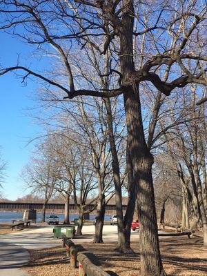 Still winter, but a beautiful day for the park.