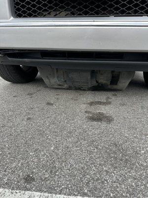 Skid Plate