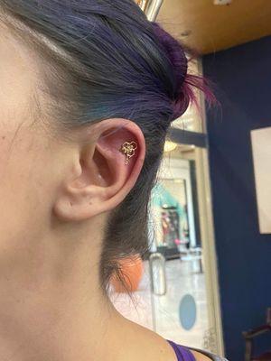 Helix piercing with Hive Mind