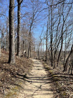 Indiana Dunes Cowles-Bog trail