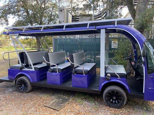 10 pax Electric Cart