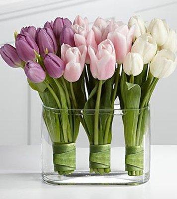 TULIPS