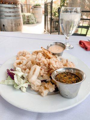 Calamari, appetizer