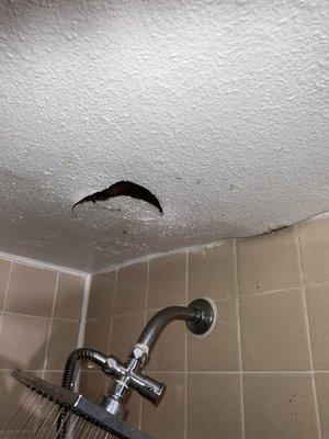 The hole in my ceiling