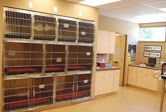 A dedicated technician will be with your pet during the hospitalization or recovery process. That is what sets us apart.