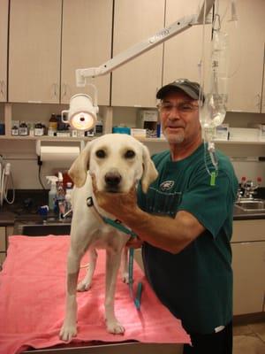 Bentley feeling great after her life saving surgery by Dr. Pat