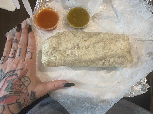 Massive asada burrito