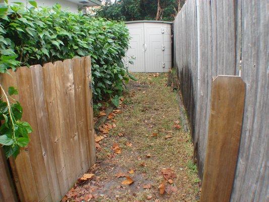 Before Paver walkway installed through-out back yard