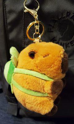 Carybara with Turtle backpack!