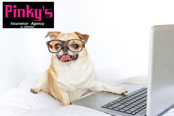 Check out our website ,www.pinkysinsuranceagency.com