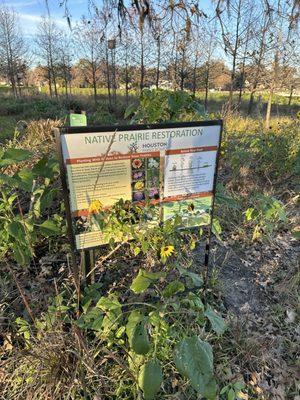 Native prairie restoration