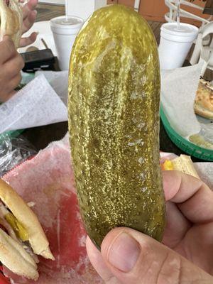 That's a big dill!