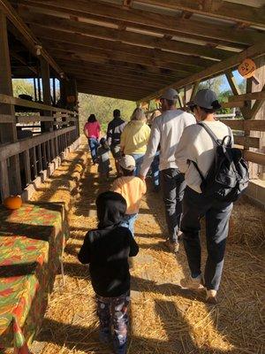 Issaquah Cooperative Preschool field trip.