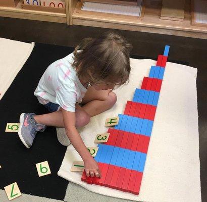 Montessori Mathematics