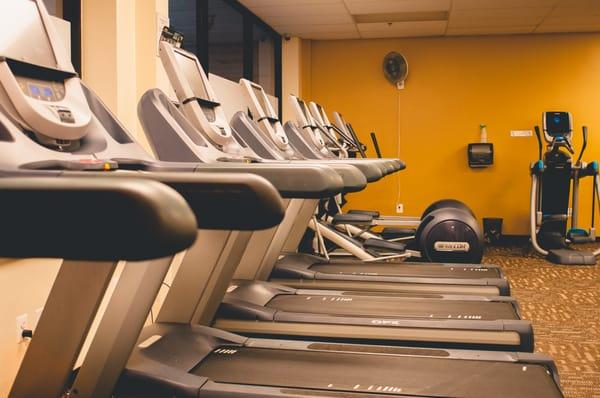 Treadmills in our cardio room