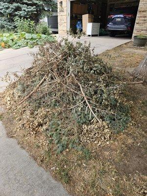 Yard waste