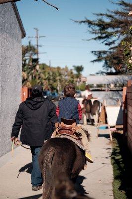 Our holiday party-we got pony for the day