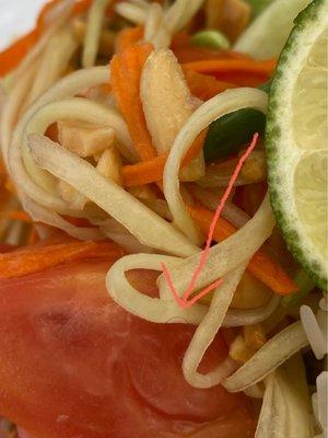 Hair in my papaya salad.