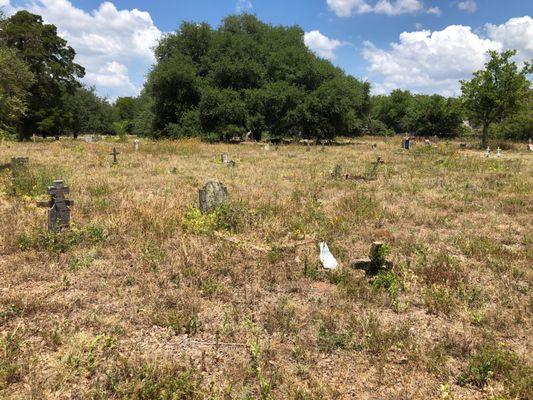 Overgrown graves