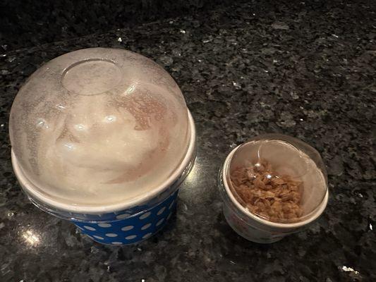 Large yogurt and side of granola