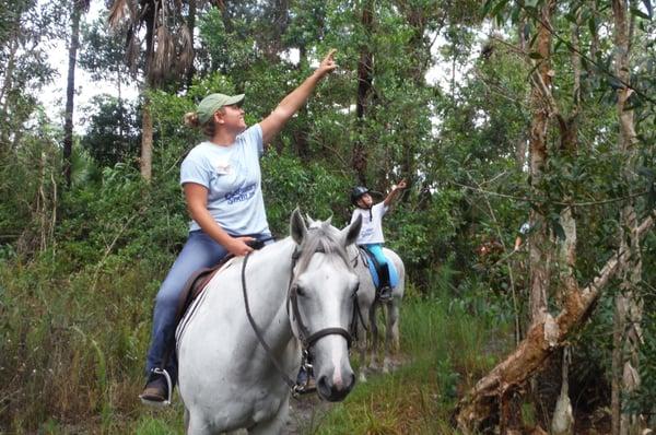 Finding animals on Trail Rides