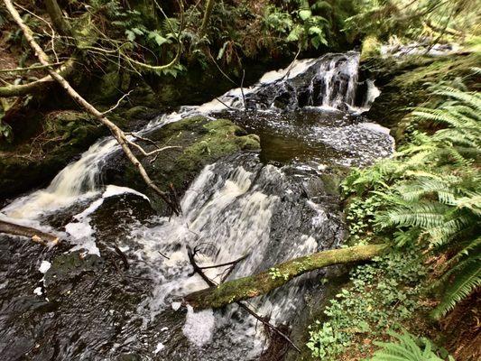 green and bubbling falls