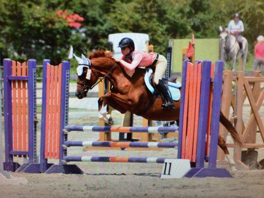 Leg Up Stables