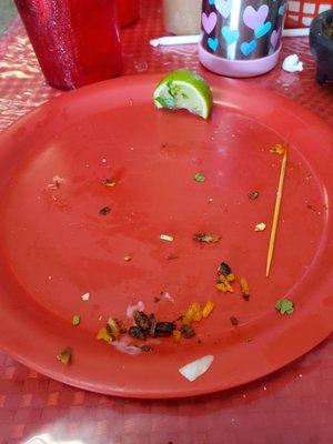 Empty plate