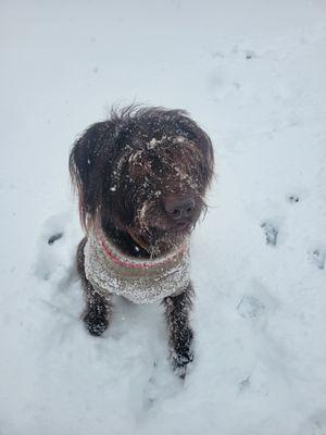 Jolene in the Snow!