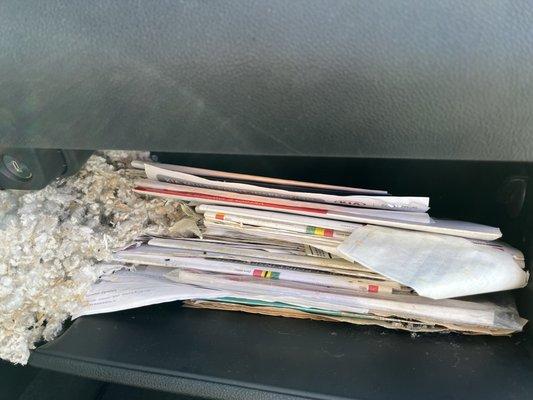 Mice nest inside glove compartment