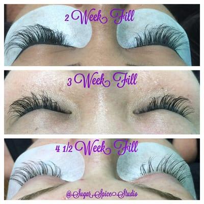 This is how my clients lashes look when they come in for their fills! You're lashes should look like this too!