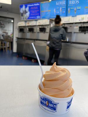 Orange Sherbet on a rainy day.  And this is a small guys