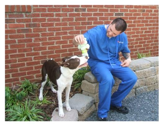 One of our patients enjoys time outside with Jameson while boarding with Sharon Lakes Animal Hospital.