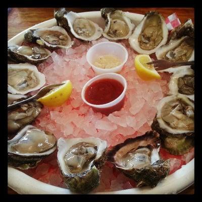 Oysters!!!