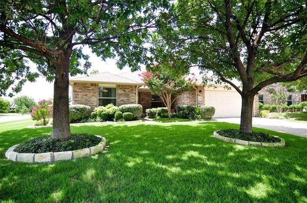 A year after replacing the grass in the front yard you can see how well the grass is doing despite the large amount of shade.