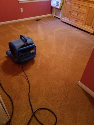 Haven Grounds Carpet Cleaning