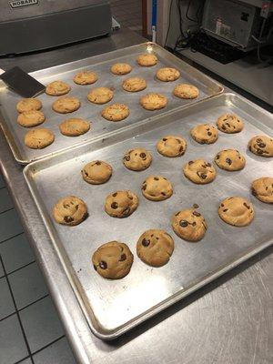 Cape Cod Special Events Homemade Cookies