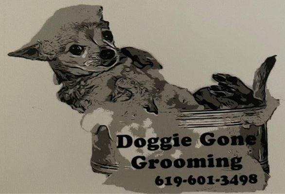 Professional Dog Grooming service