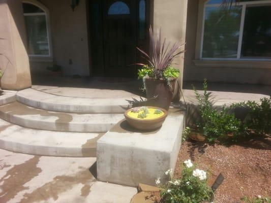 New Pots and Plants to fit the scale of the porch.