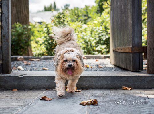 Exploring my freedom at Washington National Cathedral back yard!⁠