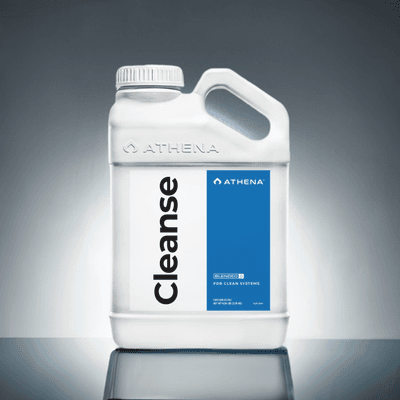 For optimal cell health and growth, the use of Athena Cleanse is essential for both clones and fresh cuttings.