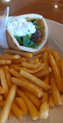 Gyro wrap with super crispy fries